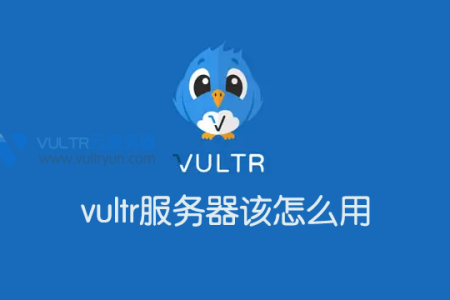 购买了vultr服务器该怎么用?